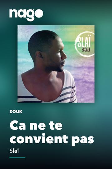Ca ne te convient pas — Slaï